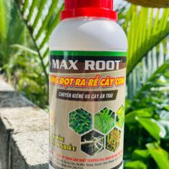 PHÂN BÓN MAX ROOT - BUNG ĐỌT RA RỄ CÂY CON ABC10